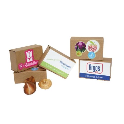 Kraft box medium flower bulbs - Image 5